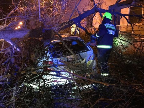 Éjszaka is dolgoztak a viharkárok elhárításán - 100 bejelentés Fejérben