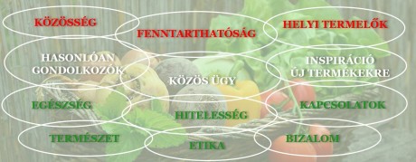 Jót cselekedni jó! A Fehérvári Éléstár csatlakozik a Fehérvári Heti Betevő osztásához