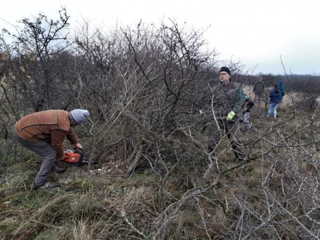 Az Aszal-völgyet tisztítják meg a madárbarátok a február 12-i önkéntes szombaton