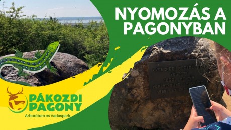 Nyomozás, kirándulás az erdőben, farsangi FÜLEmüle koncert a kastélyban