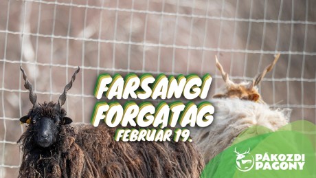 Télűző farsangi forgatagot rendeznek a Pákozdi Pagonyban