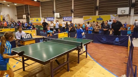 Asztalitenisz - a H. Szondi Székesfehérvár sikerei, balsikerei