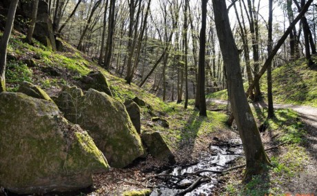 Túrázás: Tavaszi Ébredés néven hirdetett gyalogtúrát a MÁV Előre SC
