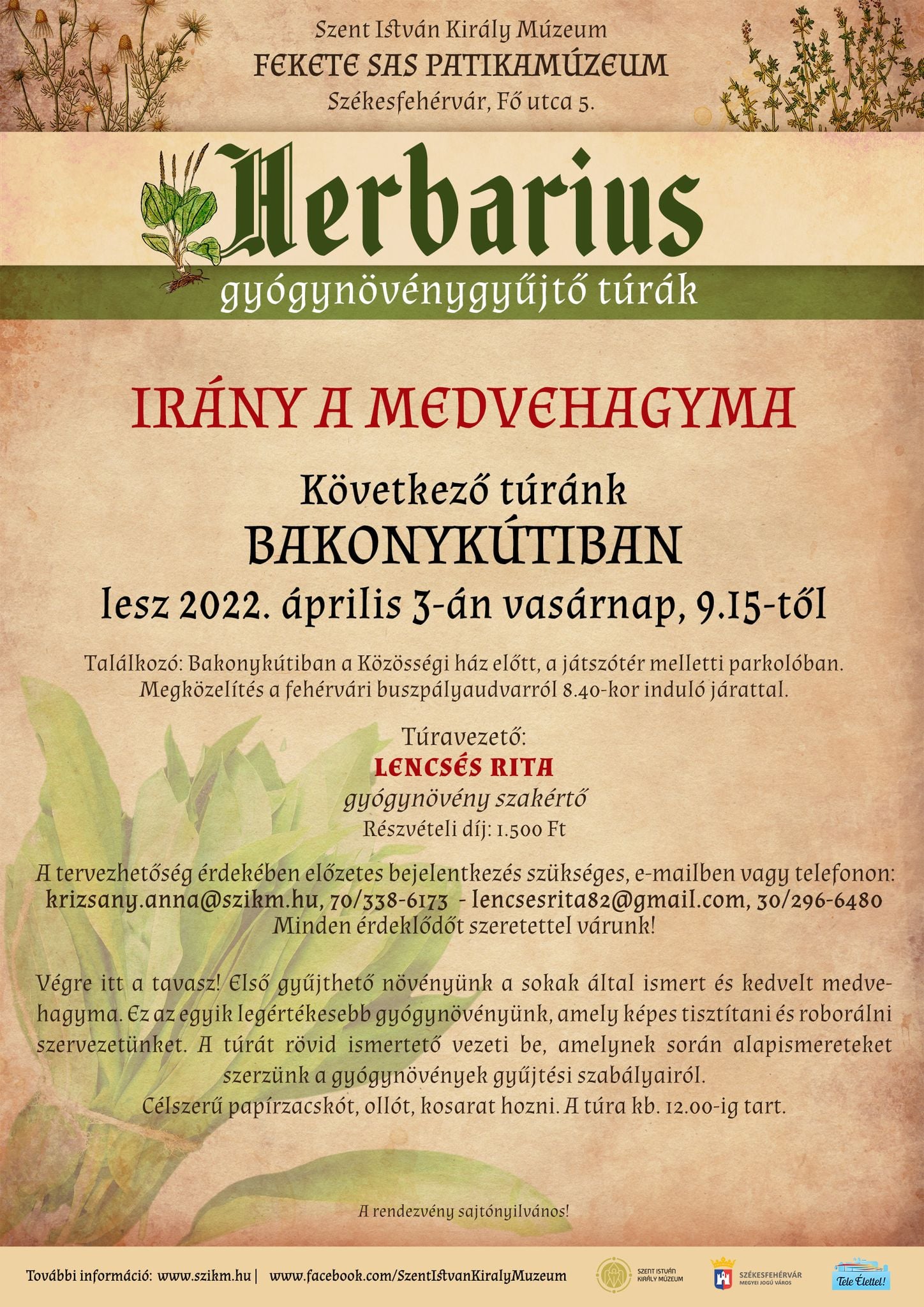 Irány a medvehagyma! - Herbarius túra Bakonykútiban