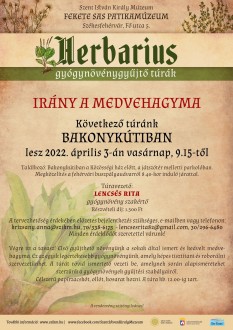 Irány a medvehagyma! - Herbarius túra Bakonykútiban