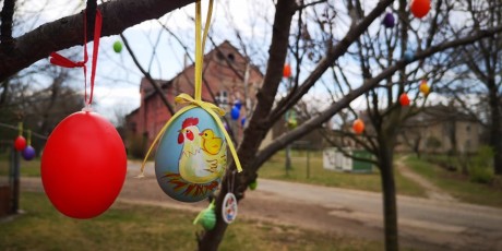 Tojásdíszbe öltöztették idén is a maroshegyi fákat Fehérváron