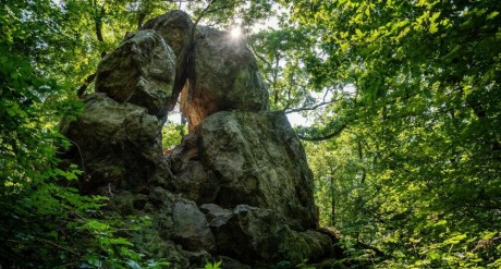 Április 9-én, szombaton rendezik a tavaszköszöntő túrákat a Velencei-hegységben