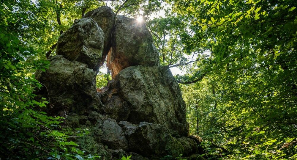 Április 9-én, szombaton rendezik a tavaszköszöntő túrákat a Velencei-hegységben