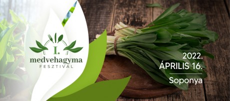 Először rendeznek Medvehagyma Fesztivált április 16-án, szombaton Soponyán