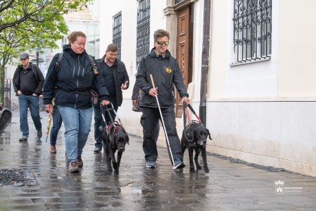 Segítenek eligazodni az életben - Közös séta a vakvezető kutyák világnapján