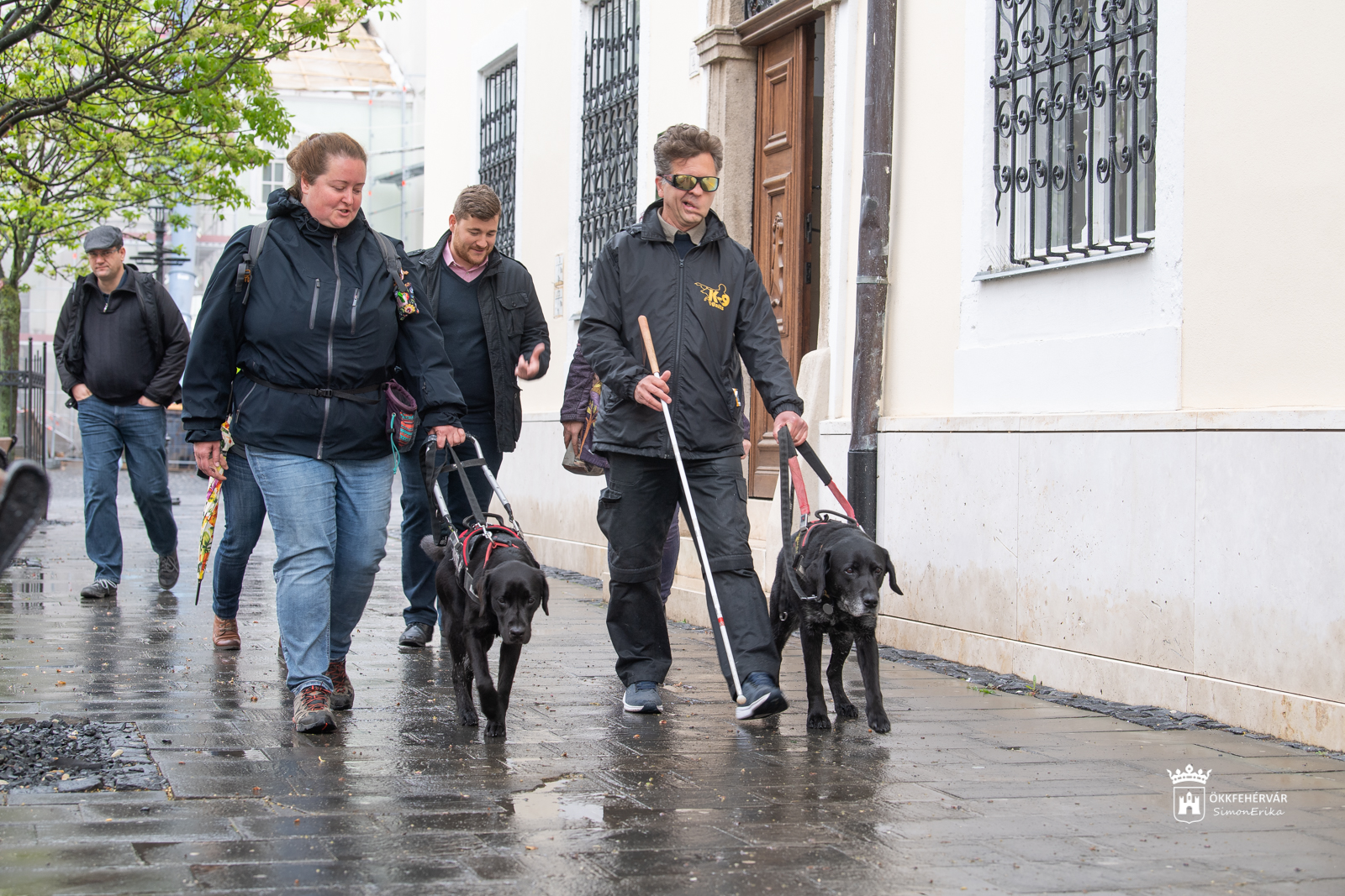 Segítenek eligazodni az életben - Közös séta a vakvezető kutyák világnapján