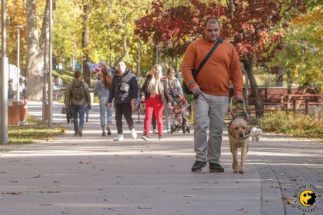 Akadályok nélkül – rendezvénysorozat, amely összeköti a látókat és nem látókat