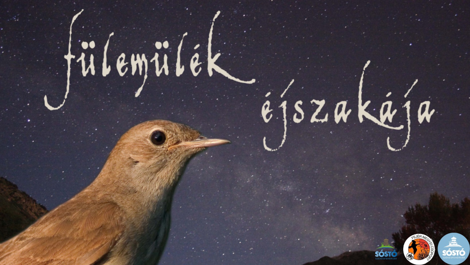 Fülemülék éjszakája - a csalogány hangját is hallhatjuk Sóstón