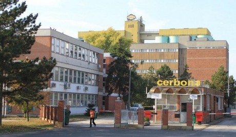 A vegán élelmiszerek piaca felé nyit a fehérvári Cerbona