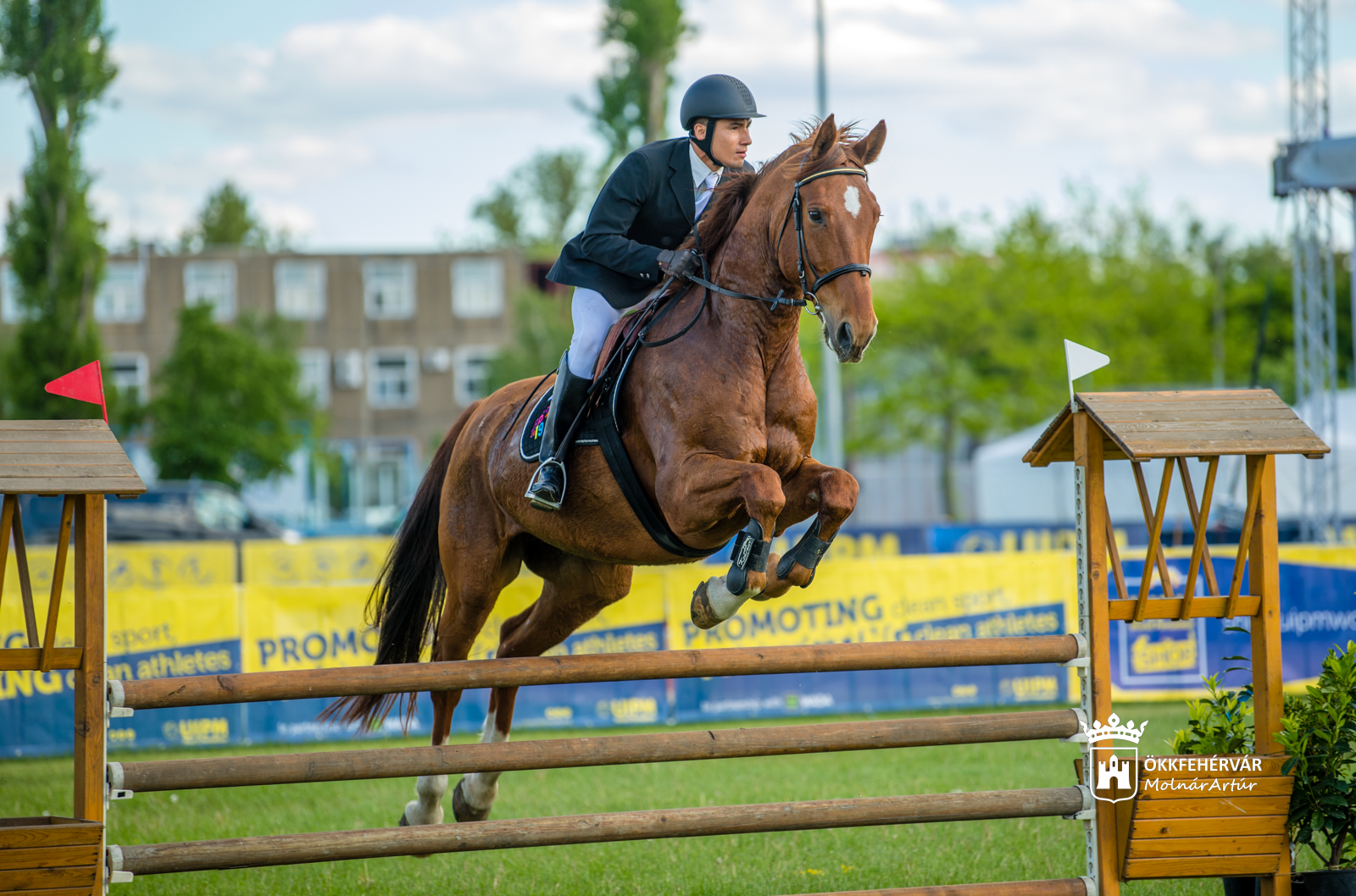 Öttusa Eb - Szeptemberre kerül át a székesfehérvári kontinensviadal