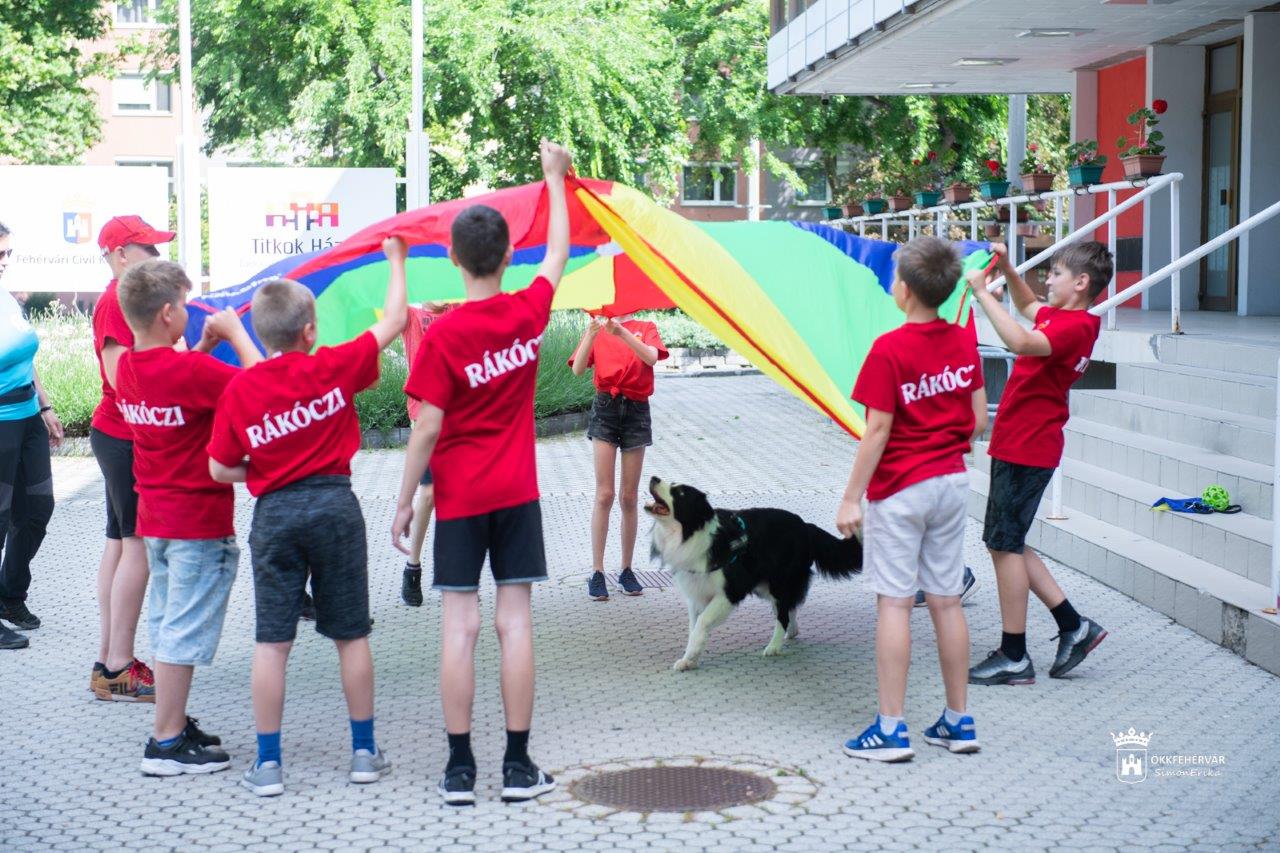 Kiállításmegnyitóval és bemutatókkal kezdődött az Önkéntesek Hete a Civil Központban