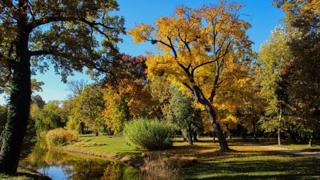 Nature Fesztivál - Szent Iván napi LégyOtt a Károlyi Kastélyparkban