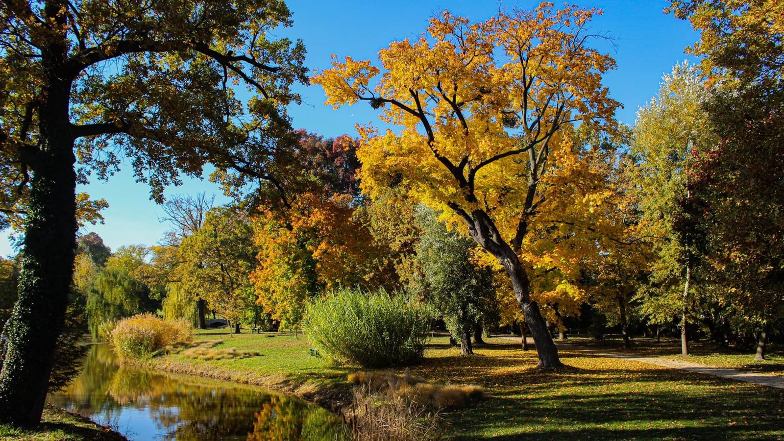 Nature Fesztivál - Szent Iván napi LégyOtt a Károlyi Kastélyparkban