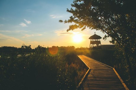 Újra naplemente túra lesz  szombaton a Sóstó Természetvédelmi Területen