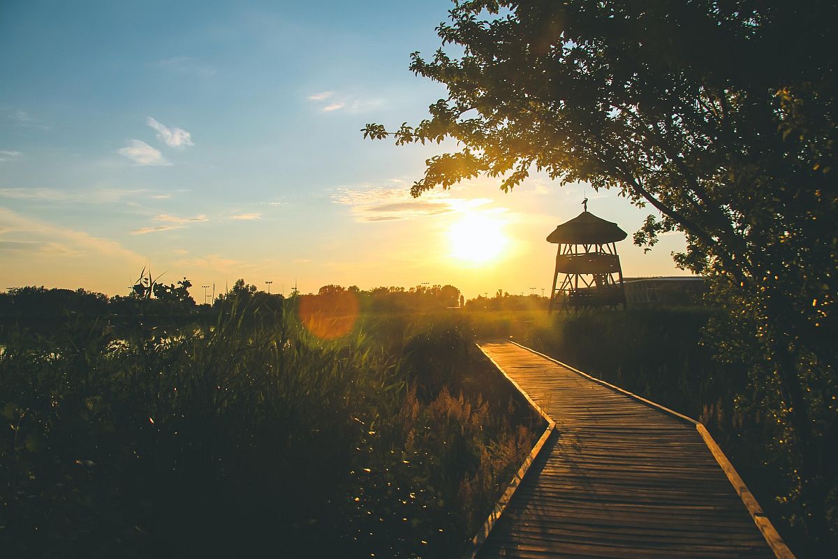 Újra naplemente túra lesz  szombaton a Sóstó Természetvédelmi Területen