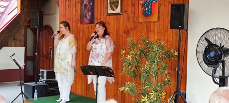 Emlékparki nyár: várpalotai katonaművészek festményei és Military Girls koncert