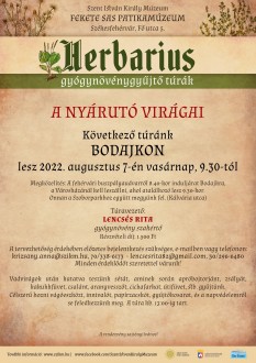 A nyárutó virágai - vasárnap folytatódik a Herbarius-túrák sorozata