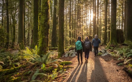 Augusztus 7-ig meghosszabbították a jelentkezést a geotúra-vezető tanfolyamra