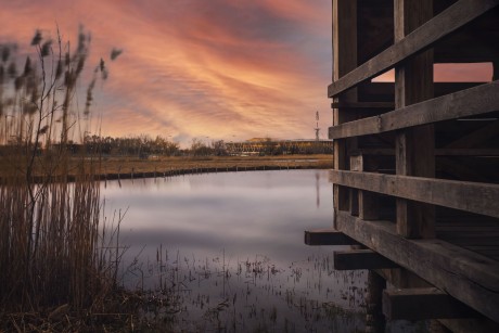 A nyár színei Sóstón - augusztus 21-ig lehet jelentkezni a fotópályázatra