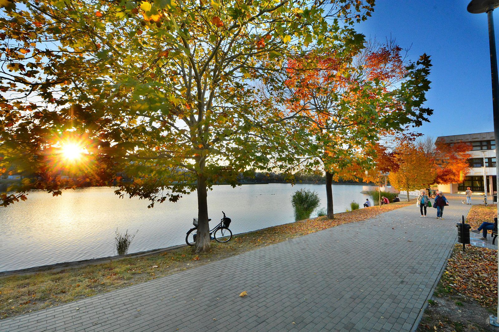 Alba Regia fotópályázat idén is – szeptember 30-ig várják az alkotásokat