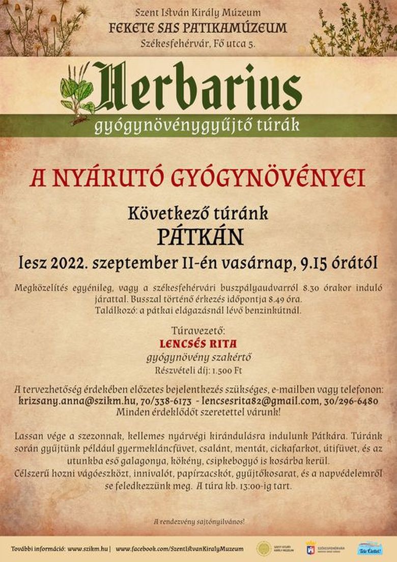 A nyárutó gyógynövényei - vasárnap újra Herbarius-túra