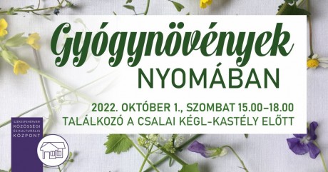 Gyógynövények nyomában október 1-jén szombaton - találkozó a Kégl kastélynál