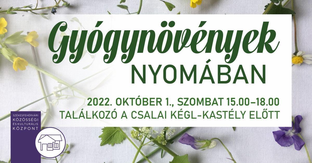 Gyógynövények nyomában október 1-jén szombaton - találkozó a Kégl kastélynál