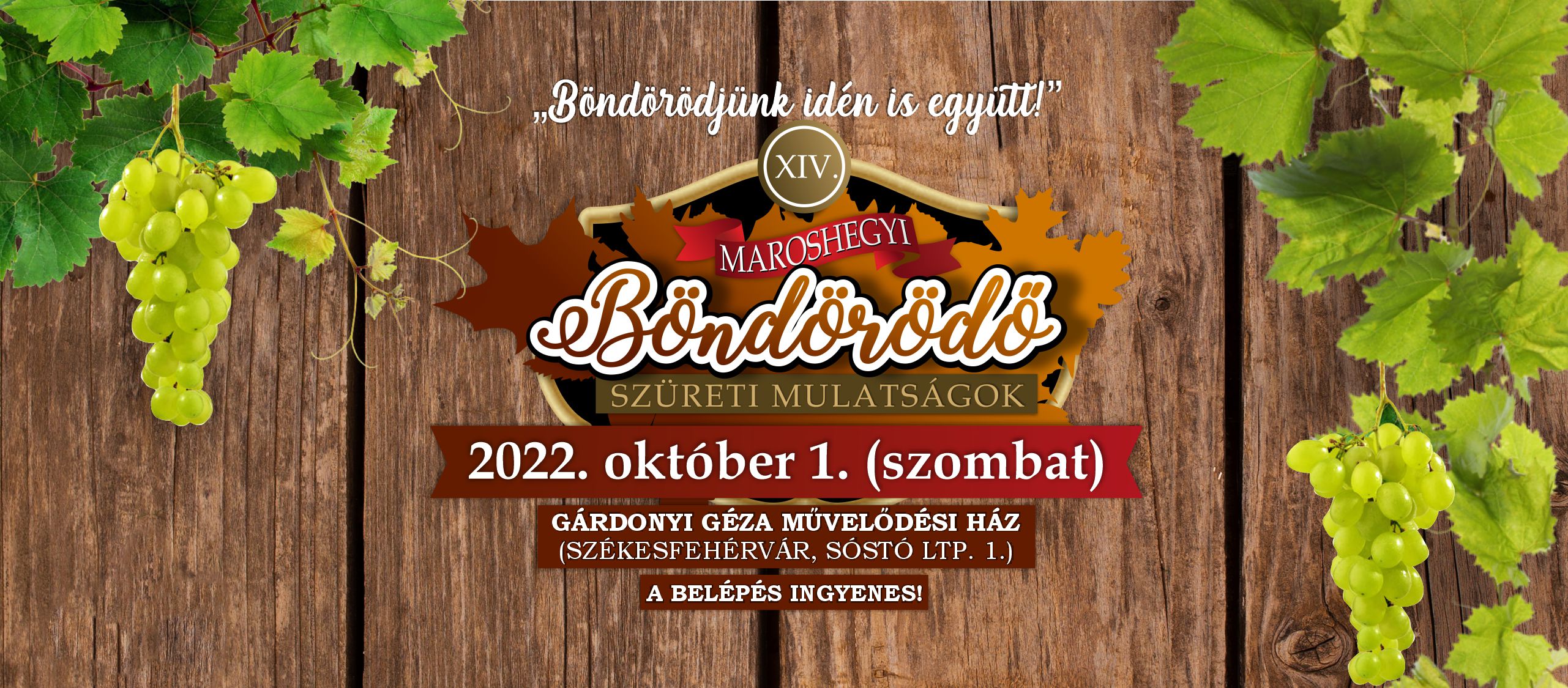 A Gárdonyi Géza Művelődési Házban tartják meg a Maroshegyi Böndörödőt