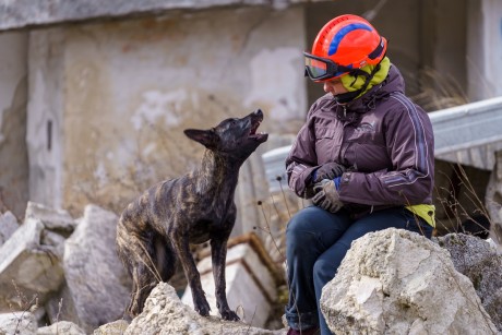 Életmentés négylábon - Mokka és Abby csatlakoztak gazdáikkal a Fejér Önkéntes Mentőszervezethez
