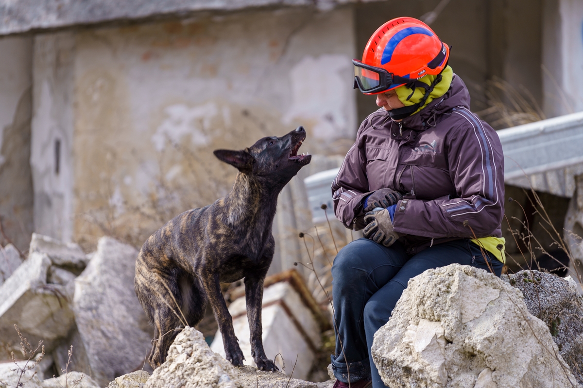 Életmentés négylábon - Mokka és Abby csatlakoztak gazdáikkal a Fejér Önkéntes Mentőszervezethez