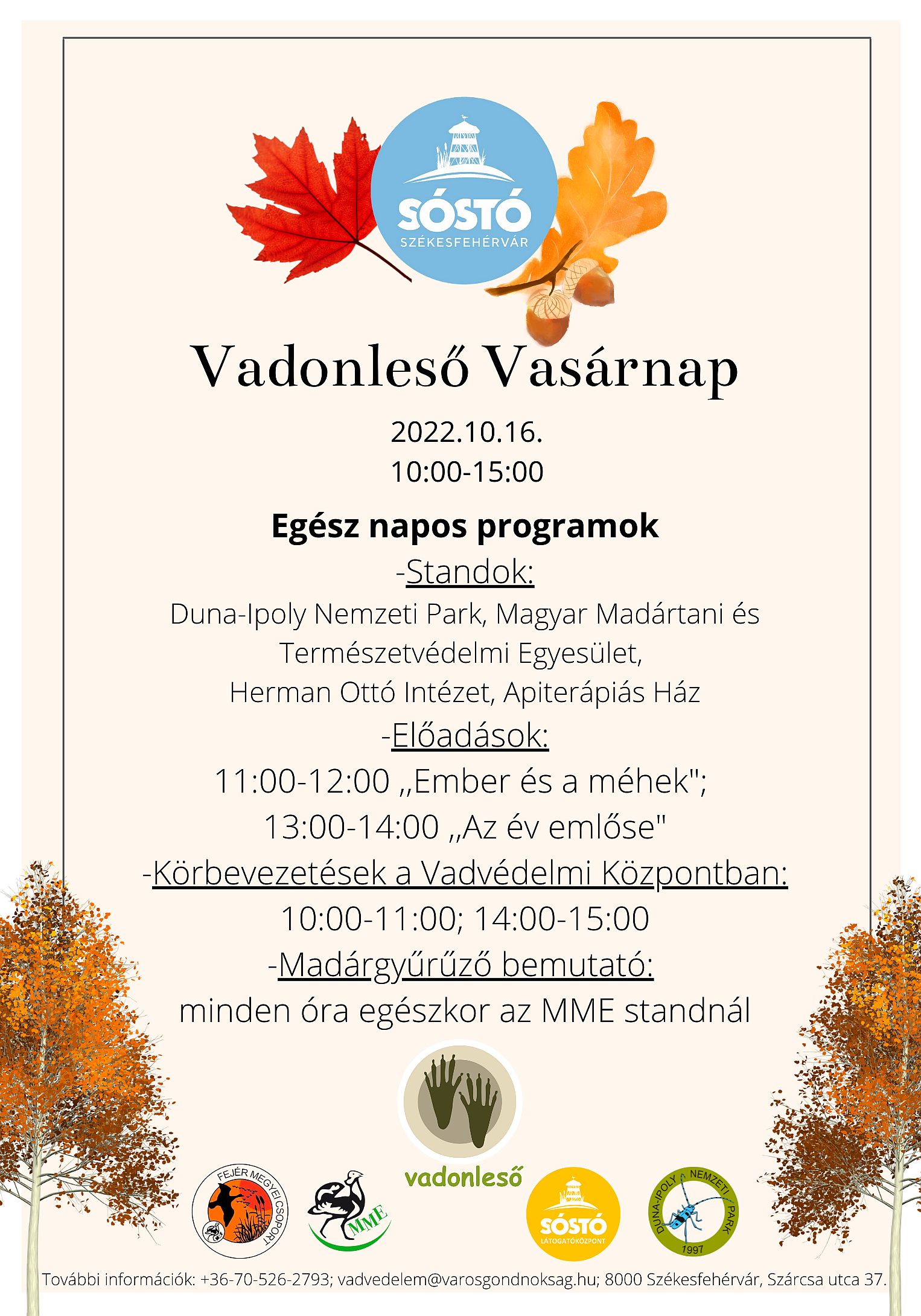 Vadonleső Vasárnap a Sóstón - egész napos programokkal várnak