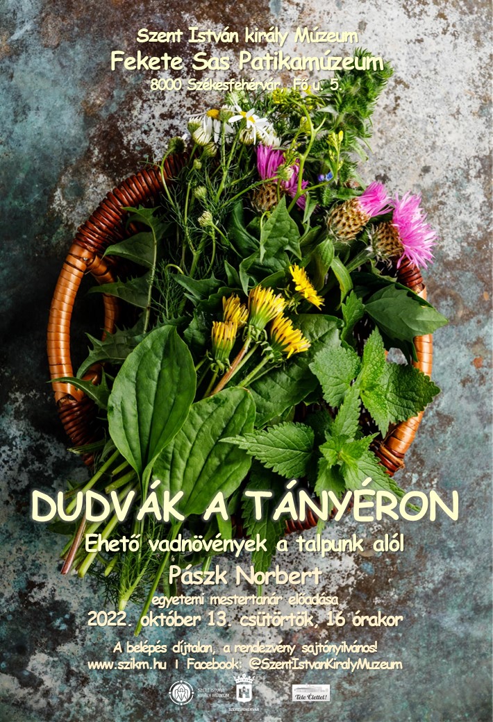 Dudvák a tányéron - előadás a Fekete Sas Patikamúzeumban