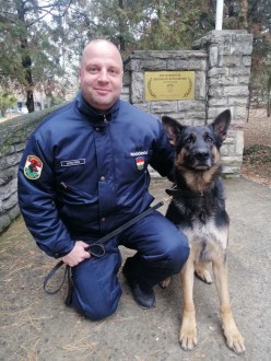 Fehérvári rendőrkutyás páros buktatta le a betörőt - kattant a tolvaj kezén a bilincs