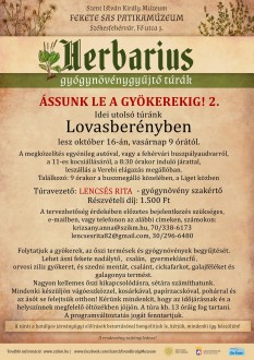 Az idei utolsó Herbarius-túra következik vasárnap - Lovasberénybe lehet kirándulni