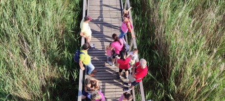 Családi kalandok és az ősz színei novemberi szombatokon a Sóstón