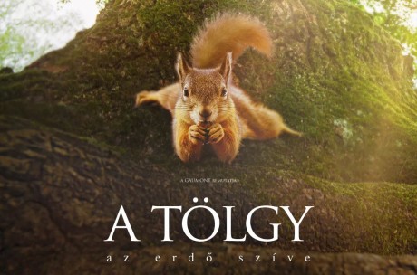 A Barátságban nézték a Vigyázó kezes gyerekek A tölgy című film bemutató vetítését