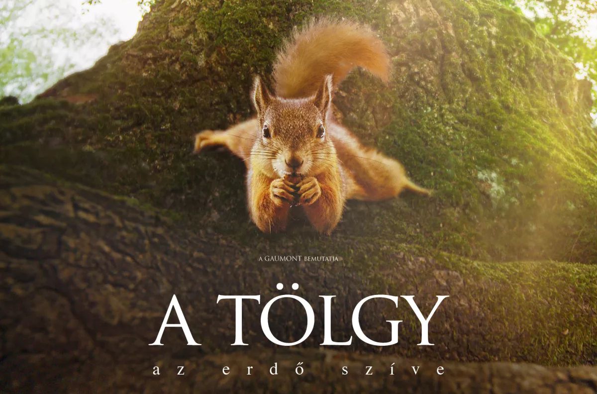 A Barátságban nézték a Vigyázó kezes gyerekek A tölgy című film bemutató vetítését