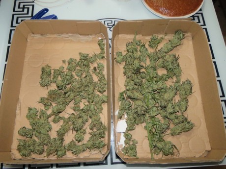 Kábítószer-kereskedők őrizetben - fehérvári duó kezén kattant a bilincs