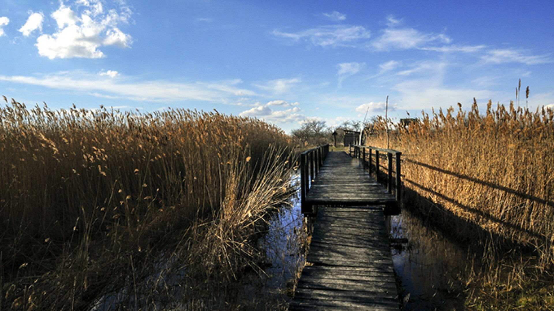 Őszi ökotúrák Székesfehérvár környékén novemberben is