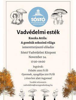 Vadvédelmi esték a Sóstón – csütörtökön a gombák sokszínűségéről lesz előadás