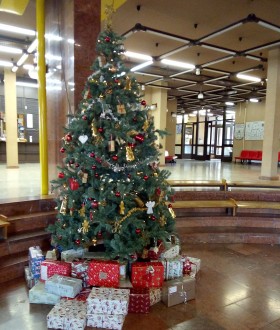 „Egy doboznyi boldogság” - a sárosdi gyermekotthonnak segítenek a tópartisok