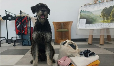 Adomány az ASKA-kutyáknak - jól sikerült a hulladékcsökkentési hét a Depóniánál