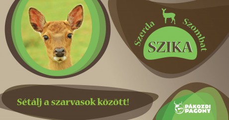 Indulj a nagyvadak nyomába! - Szika Szombat és Nagyító a Pákozdi Pagonyban