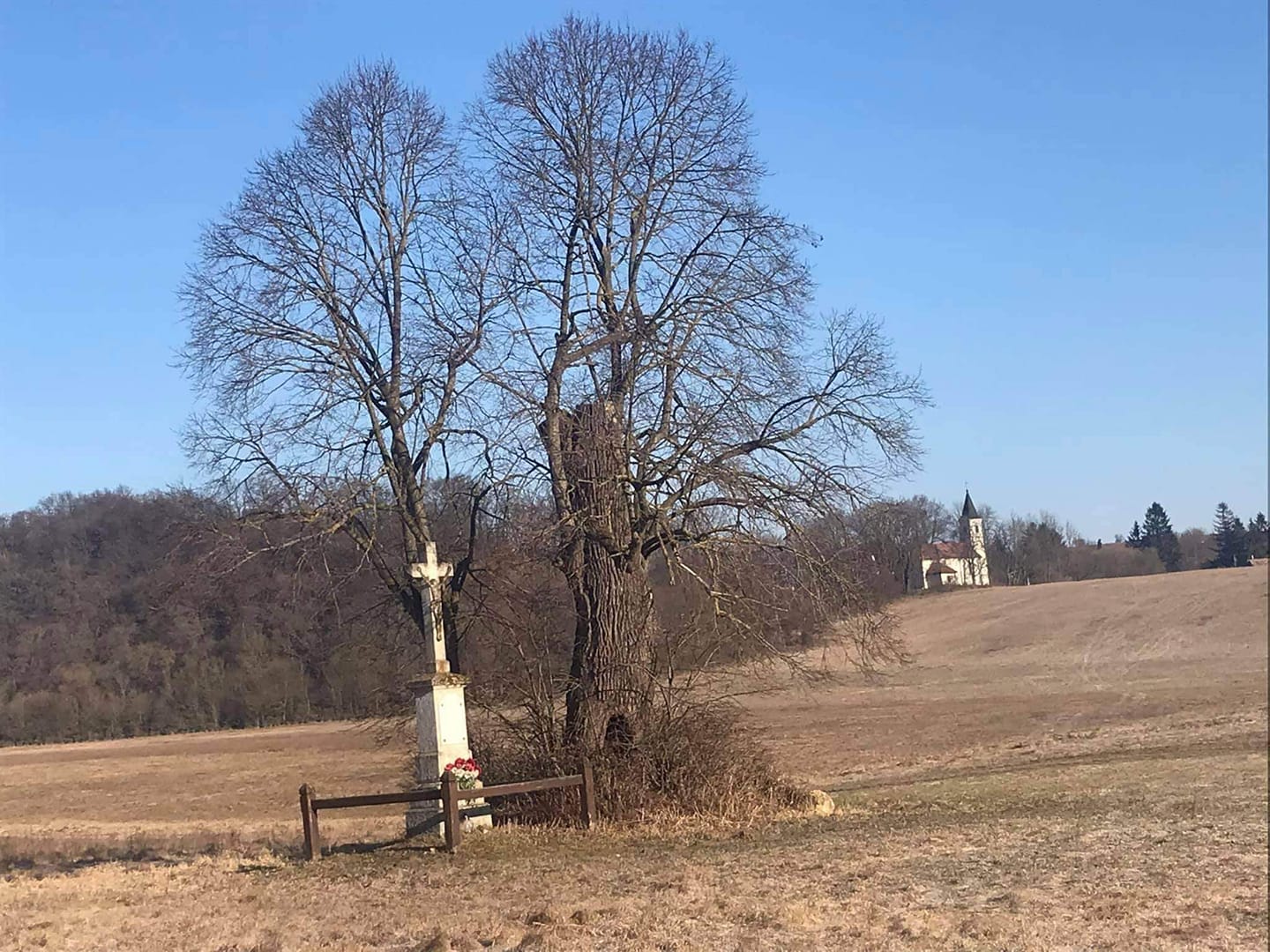 Április 2-án újra Rock 'n' Roll futás Vérteskozmán