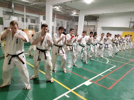 Kyokushin karate kicsiknek és nagyoknak a Gárdonyiban